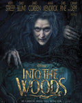 Into the Woods (Google Play)
