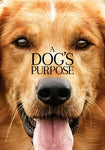 A Dog's Purpose (iTunes HD)